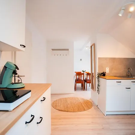 Frisch Renoviertes Am Rhein Und Marktplatz Apartamento *